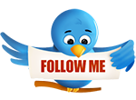 Twitter Bird